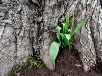 P4040019