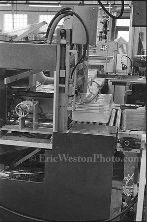 0033802