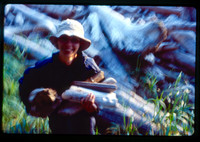 sl198708f01k07