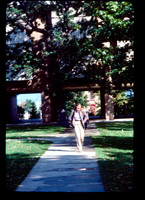 sl198209c35
