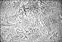 00339a01