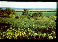 1977 / 07 July