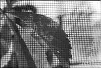 00345a16