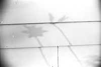 0020341