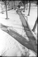 0037304