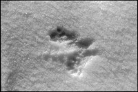 00354a34