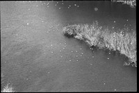 00490c08