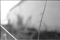 00525d26