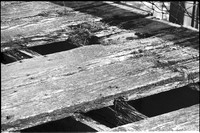0039011