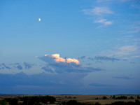 P8140015