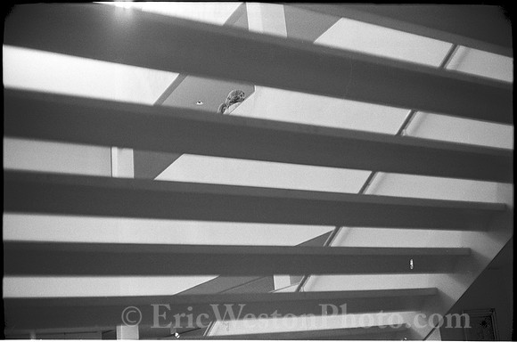 0039604