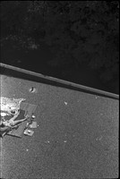 0039809