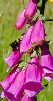 P6070075