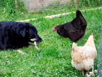 2011 / 07 July