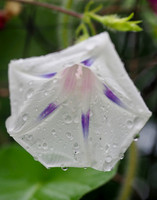 P8120011