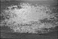 00484c31