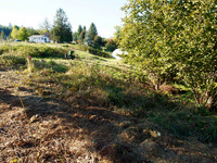 PA040087