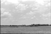 00383a04