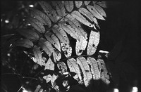 00355d40