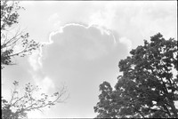 0052829