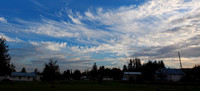 PA080054