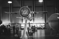 0049606