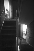 0038811