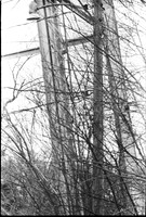 0040013