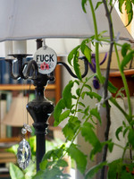 P1060018