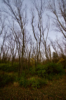 PB010021