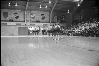 0049717