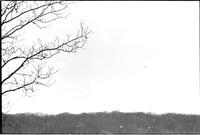 00540a10