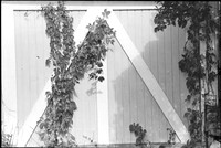 00363a04