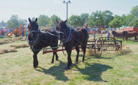 P9010035