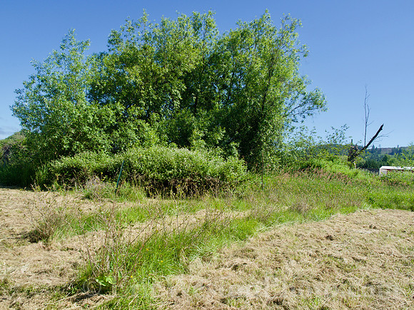 P6070088
