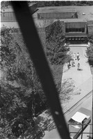 0039808