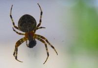 PA060054 (1)
