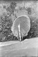 00482b09